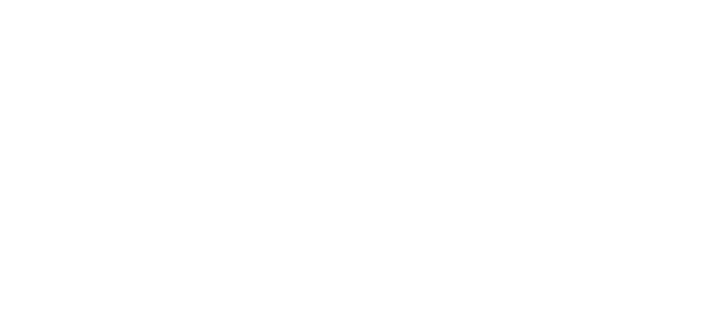 Logo: Vida Plano